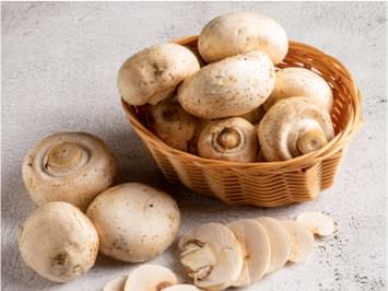Windmill Farms Mushrooms