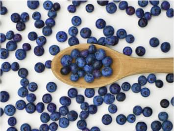 Riley Creek Blueberries