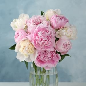 Peonies