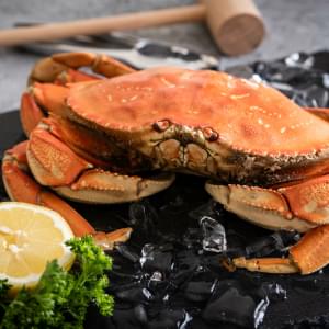 Dungeness Crab